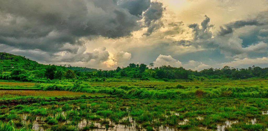 20 Minutes in Nature Can Boost