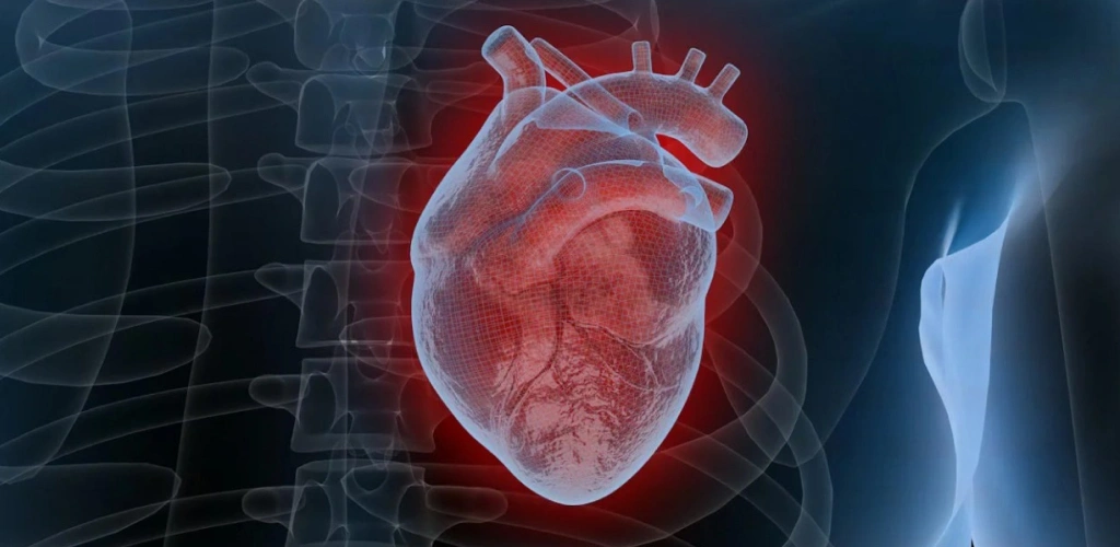 Heart Failure Explained: What It Really Means
