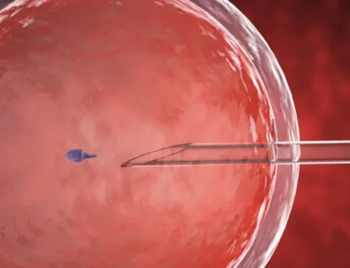 AI Hidden Sperm Breakthrough in 2026 IVF