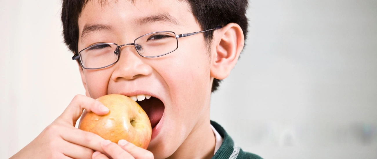 Best Chewing Boosts Brain Health & Memory