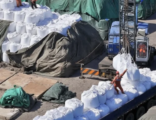 China Food and Fertilizer Crisis Shocks Global Markets