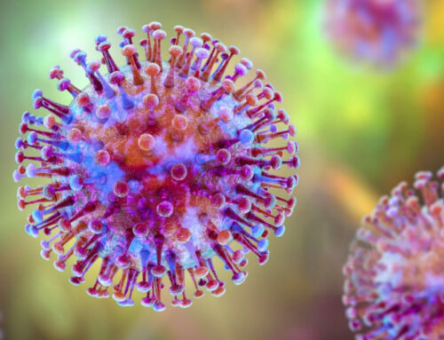 Shocking Hantavirus Survivor Story Revealed