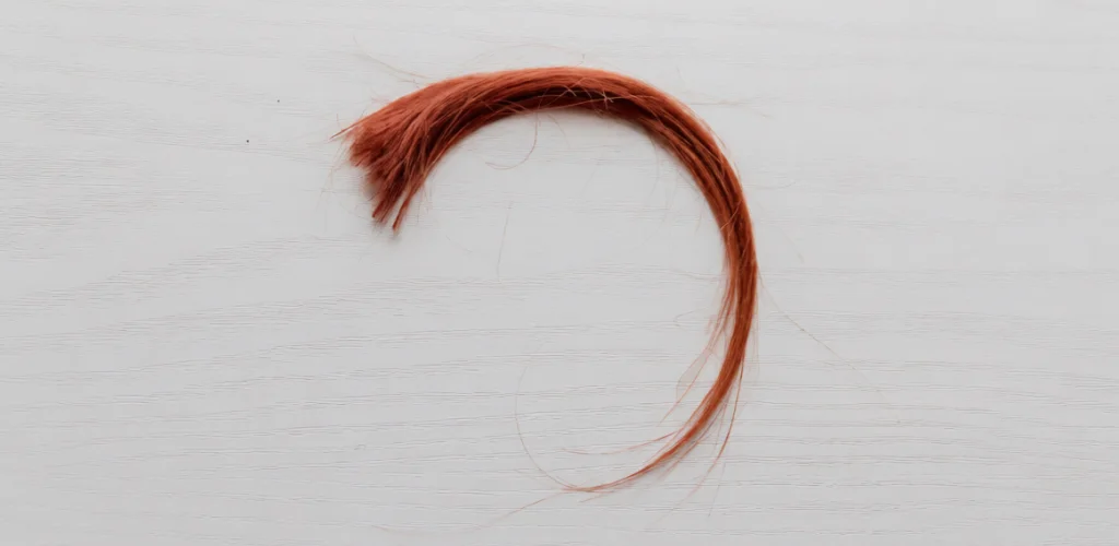 Hair Strand Test Family Court Custody Risks