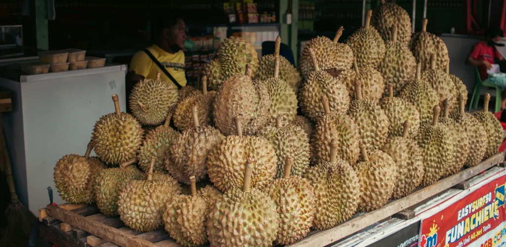 Why $20 Durians Are Now Being Sold at Half Price: Malaysia's Durian Oversupply Shocks Farmers and Delights Consumers
