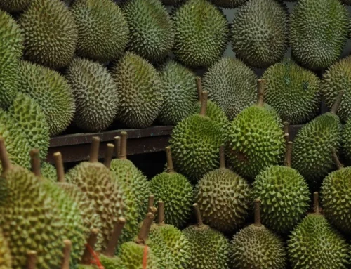 Why $20 Durians Are Now Being Sold at Half Price