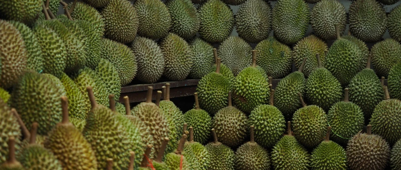 Why $20 Durians Are Now Being Sold at Half Price: Malaysia's Durian Oversupply Shocks Farmers and Delights Consumers